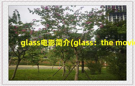 glass电影简介(glass：the movie)